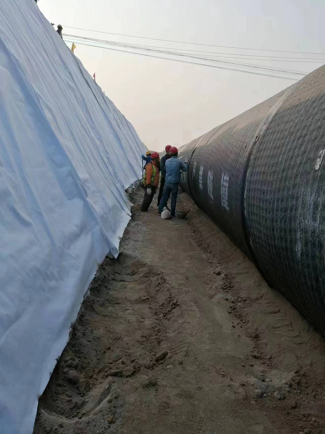 微信图片_202406271614162